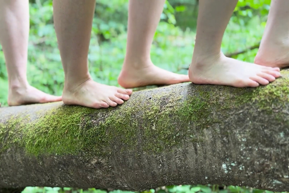 Bare feet balancing on a tree